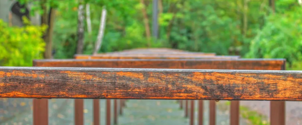 Holzhürden an Waldweg