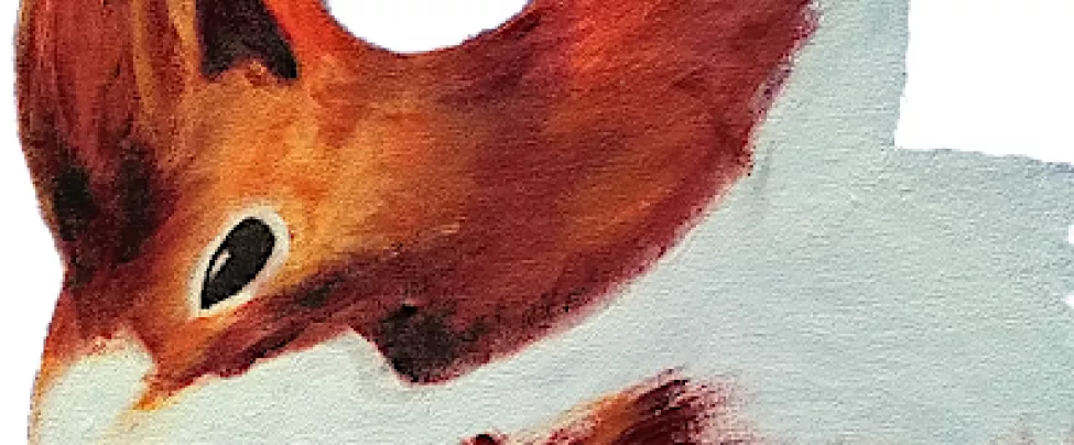 Bi Wuhlheide Squirrel