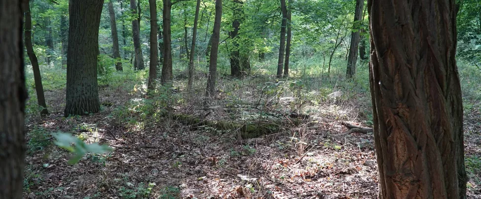 Erinnerungsort Wulkow