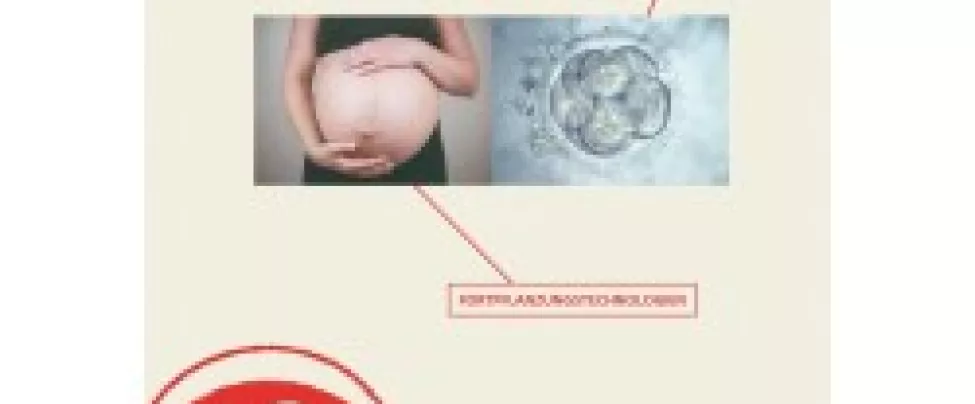 Risiken Eizelspende Gen ethisches Netzwerk