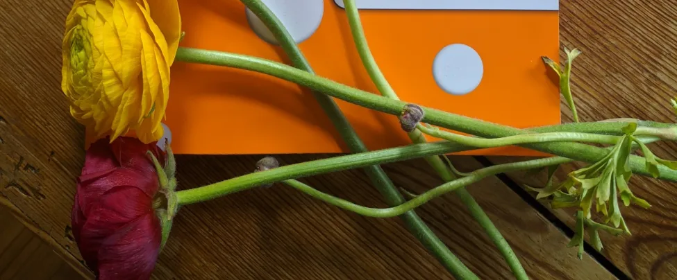 Fördertöpfe Frühlingsfoto